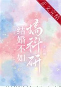 结婚不如搞科研完整版